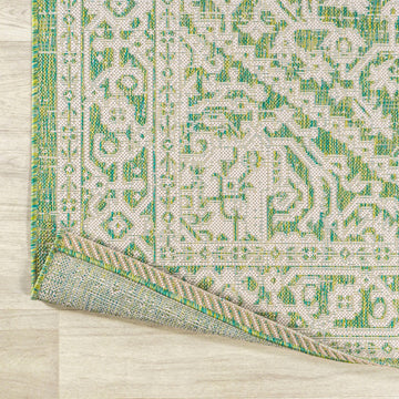 Sinjuri Medallion Textured Weave Indoor/outdoor Area Rug